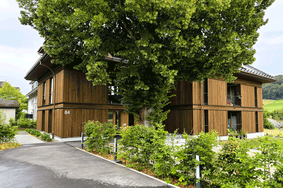 smt, MFH Stettlen